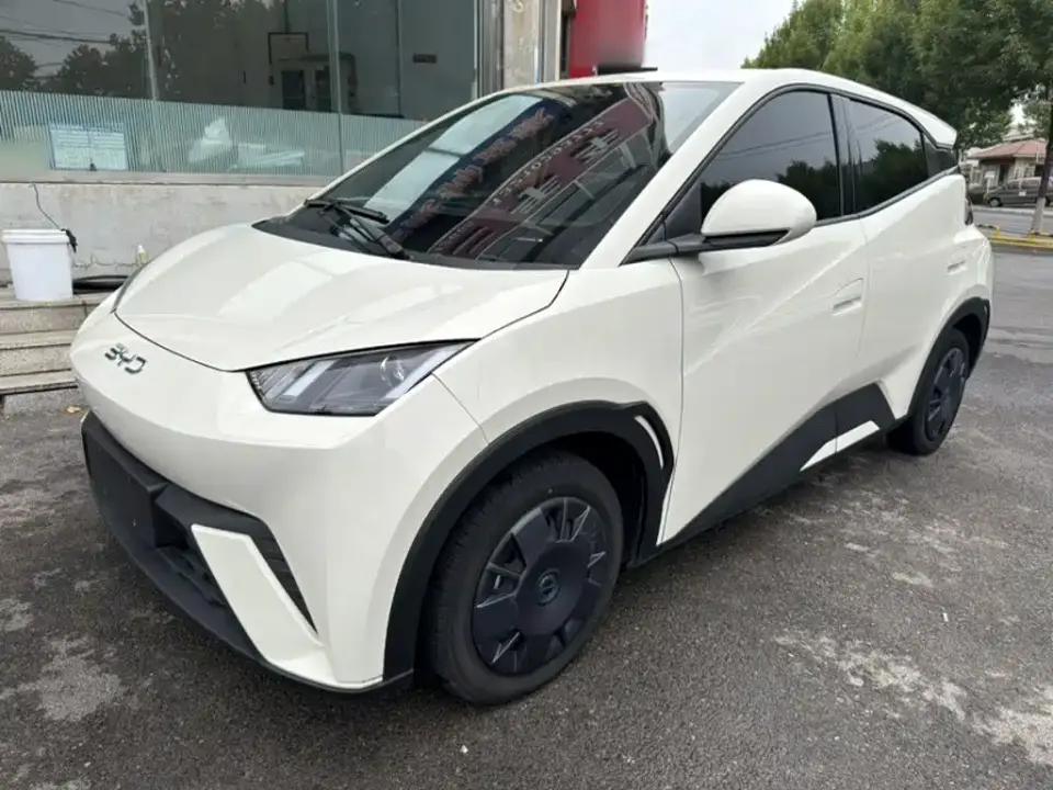 BYD Seagull 305km Vitality 2025