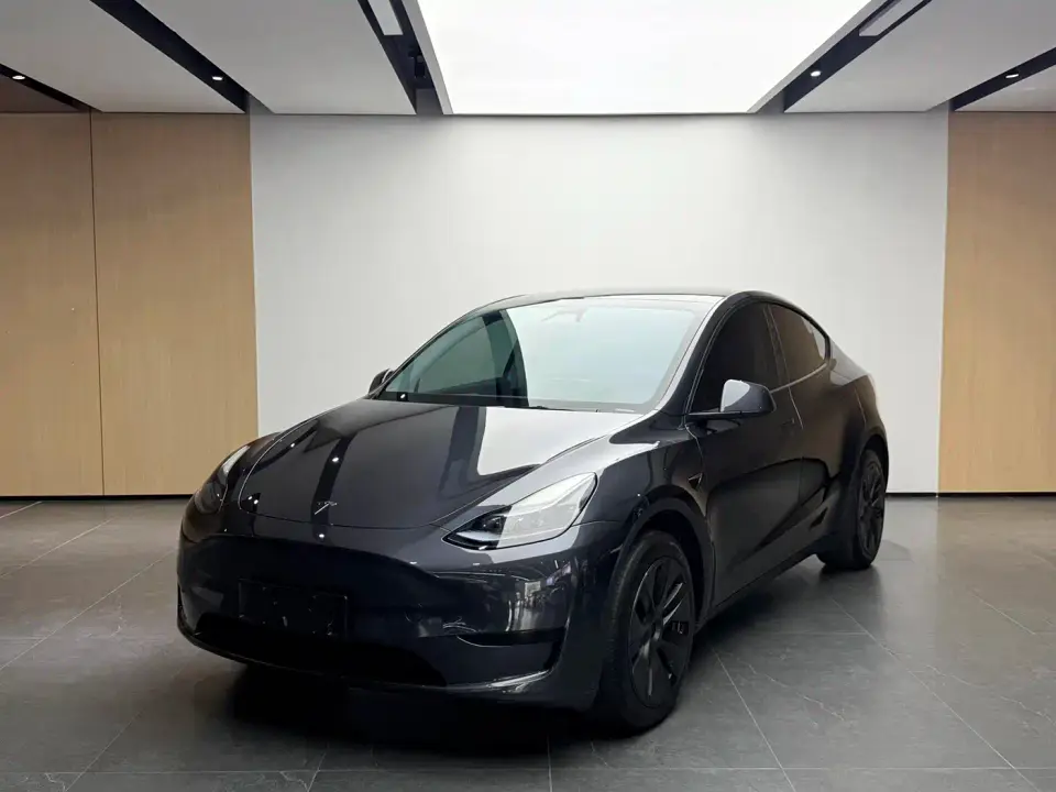 Tesla Model Y Rear-Wheel Drive Version 2022