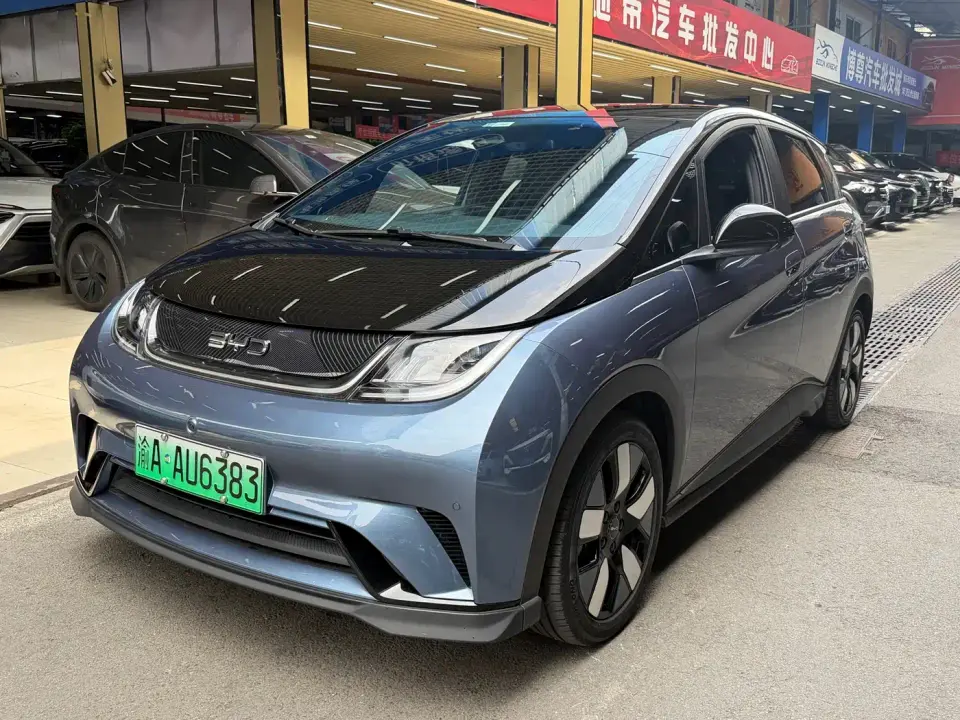 BYD Dolphin Glory Edition 401km Knight Edition 2024