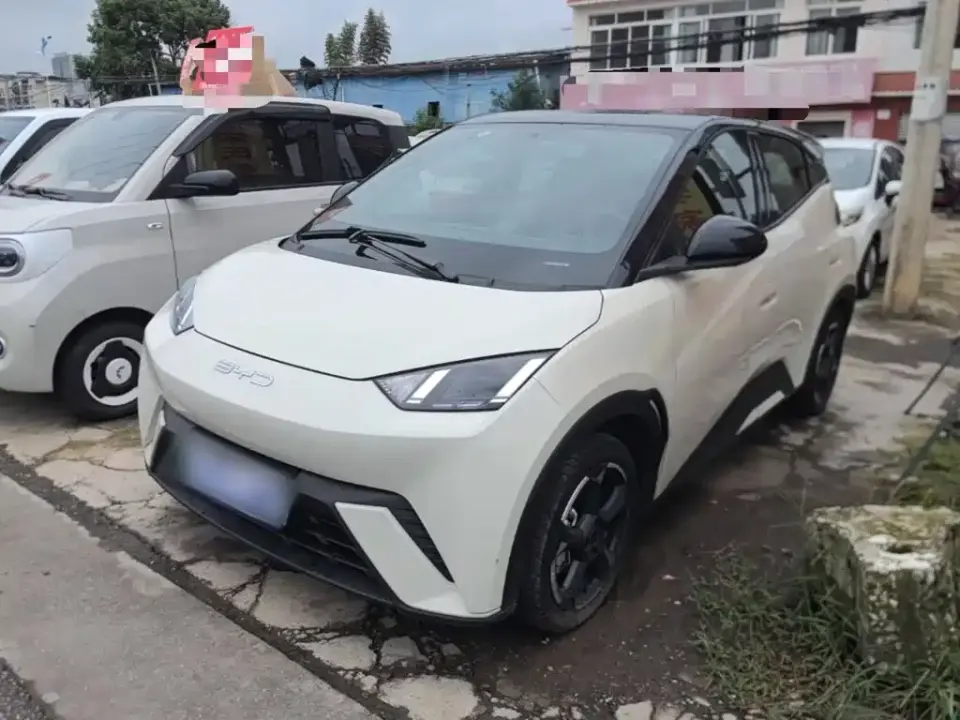 BYD Seagull Freedom Edition 2024
