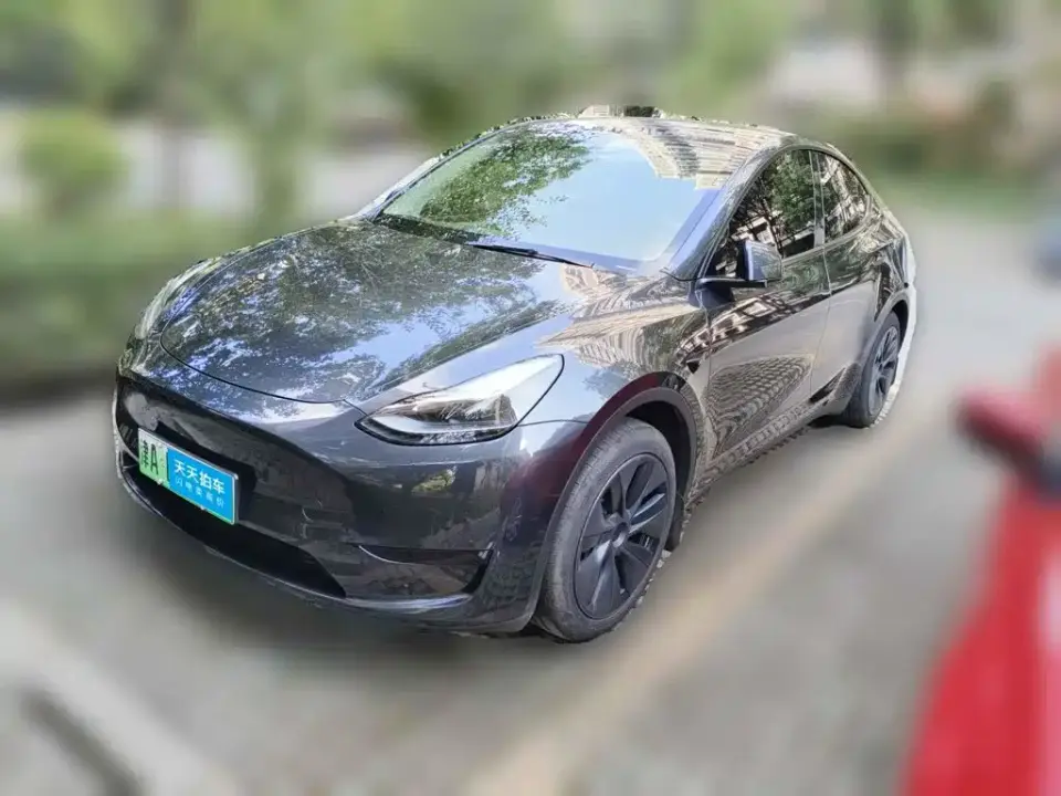 Tesla Model Y Rear-Wheel Drive Version 2024