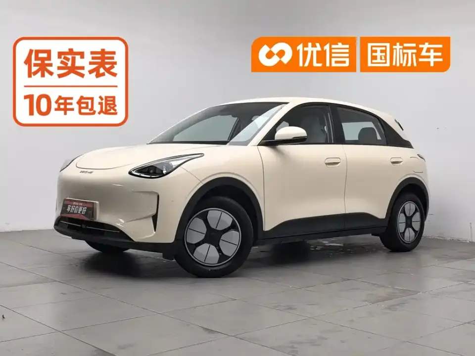 Geely Galaxy Starry Wish Edition 310km Youth Version 2025