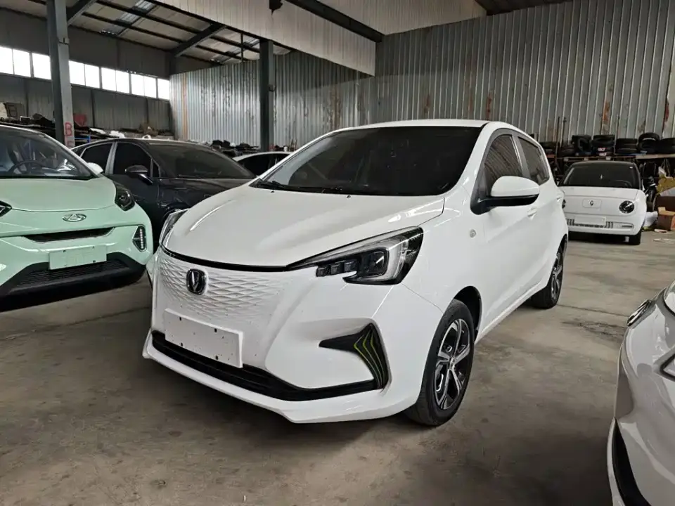Changan Benben E-Star Model Happy Edition (LFP 31.18kWh) 2021