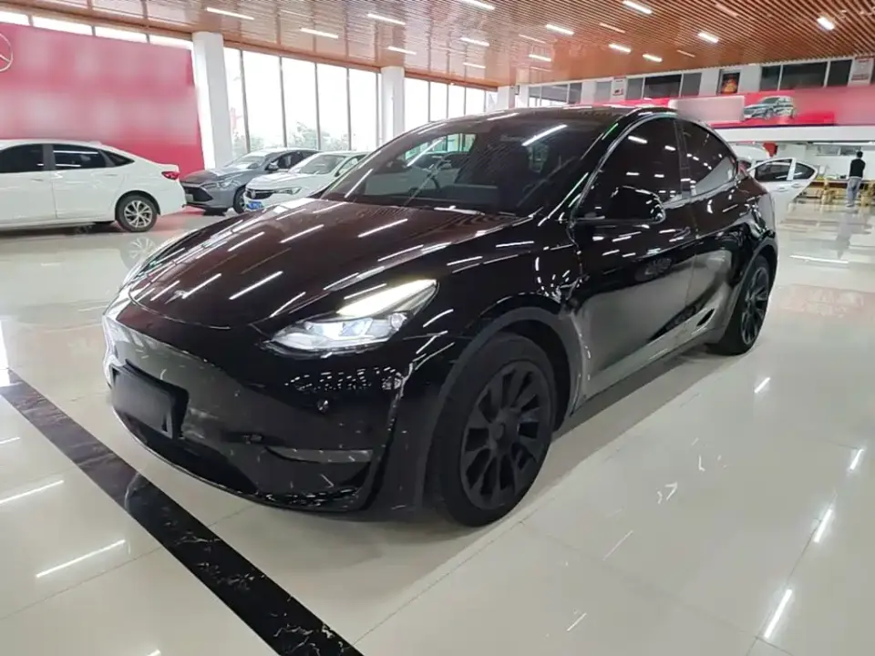 Tesla Model Y Standard Range Rear-Wheel Drive 2021