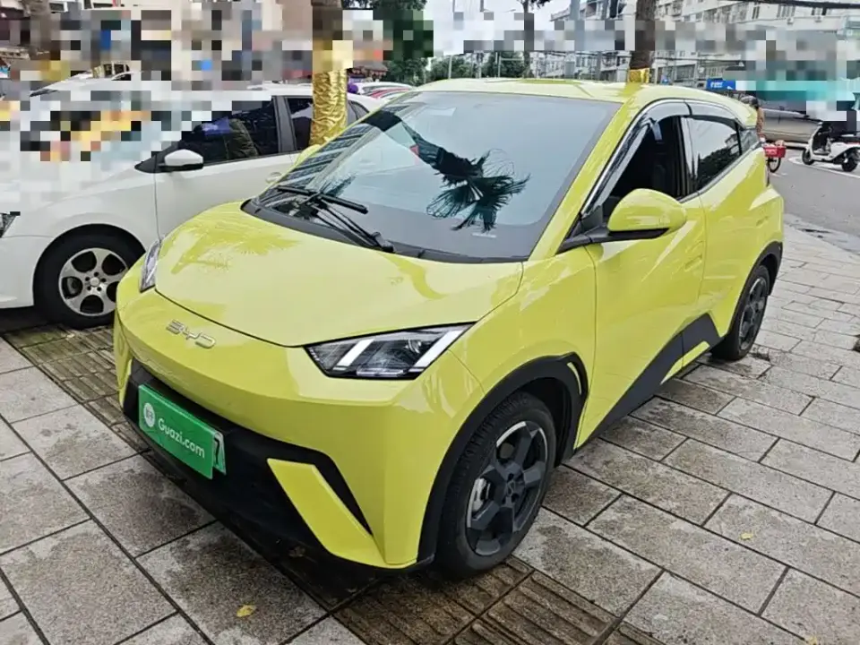 BYD Seagull Flying Edition 2023