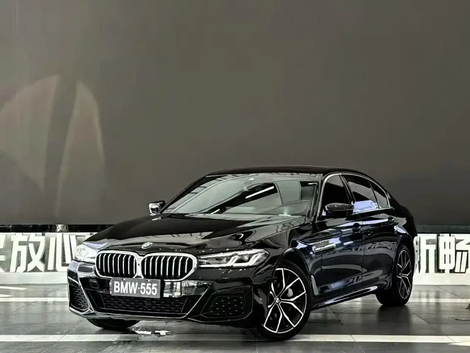 BMW 5 Series 530Li Premium M Sport Package 2020