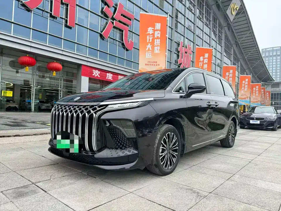 Dongfeng Fengxing Starlight V9 1.5TD 200km Chinese Knot Series Luxury 2024