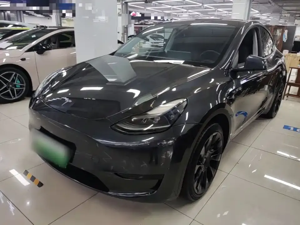 Tesla Model Y Rear-Wheel Drive Version 2024