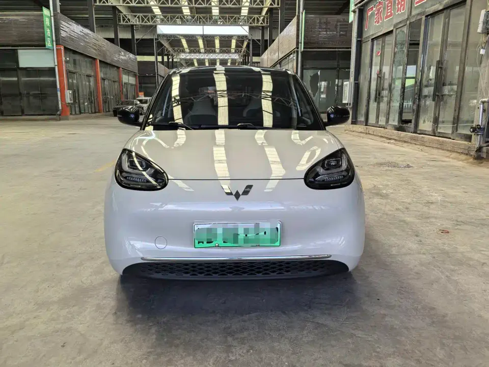 Wuling Motors Wuling Bingo 333km Comfort Edition 2024