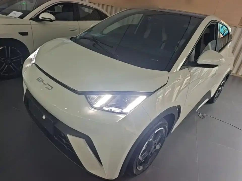 BYD Seagull Flying Edition 2023