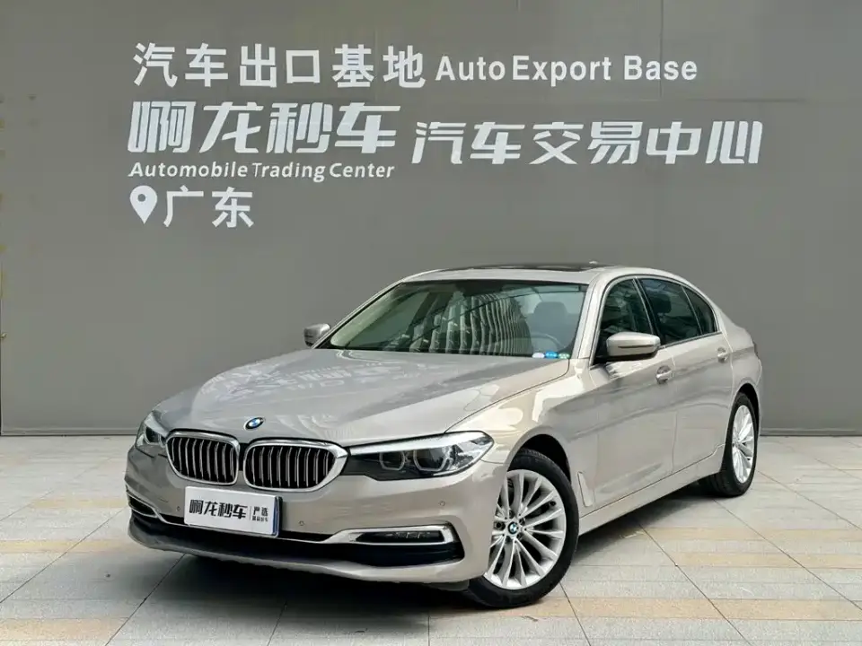BMW 5 Series 525Li Luxury Package 2019
