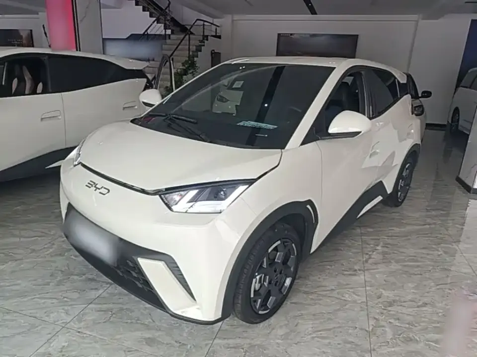 BYD Seagull Glory Edition 305km Freedom Edition 2024