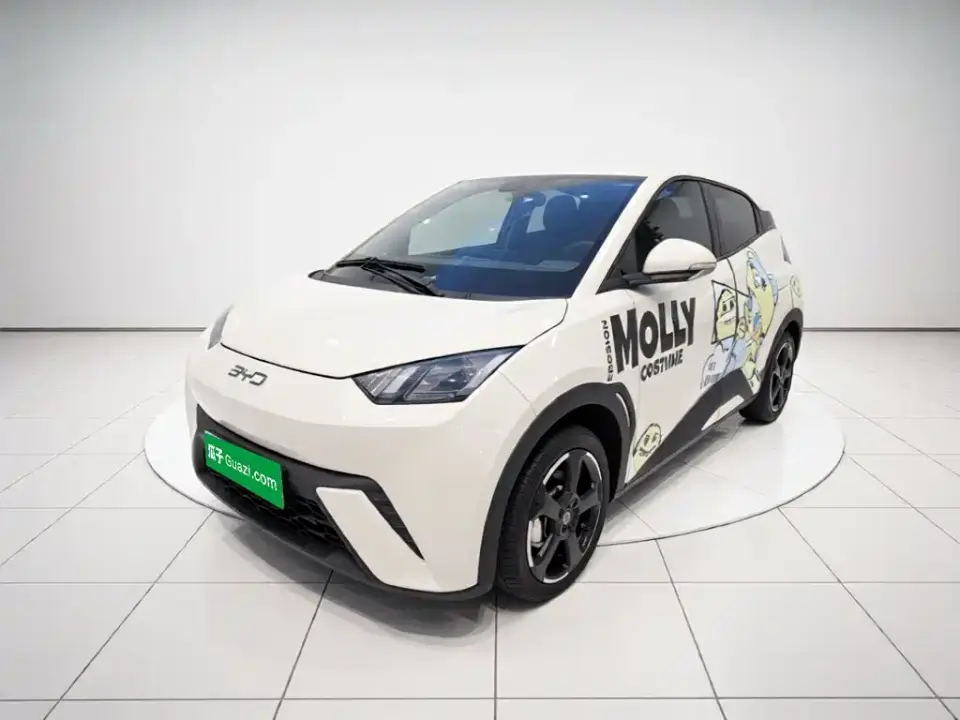 BYD Seagull Glory Edition 405km Soaring Edition 2024
