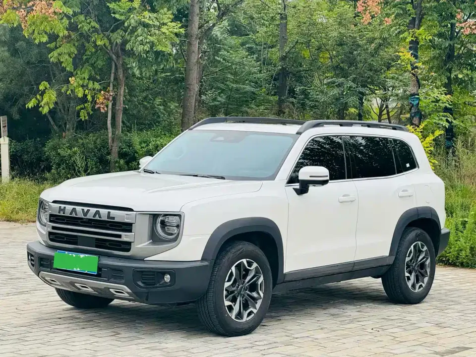 Haval Big Dog 2.0T DCT Chinese Rural Dog Edition 2025