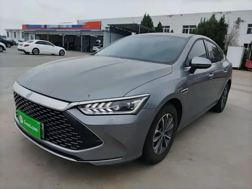 BYD Qin PLUS Glory Edition DM-i 55KM Leading 2024