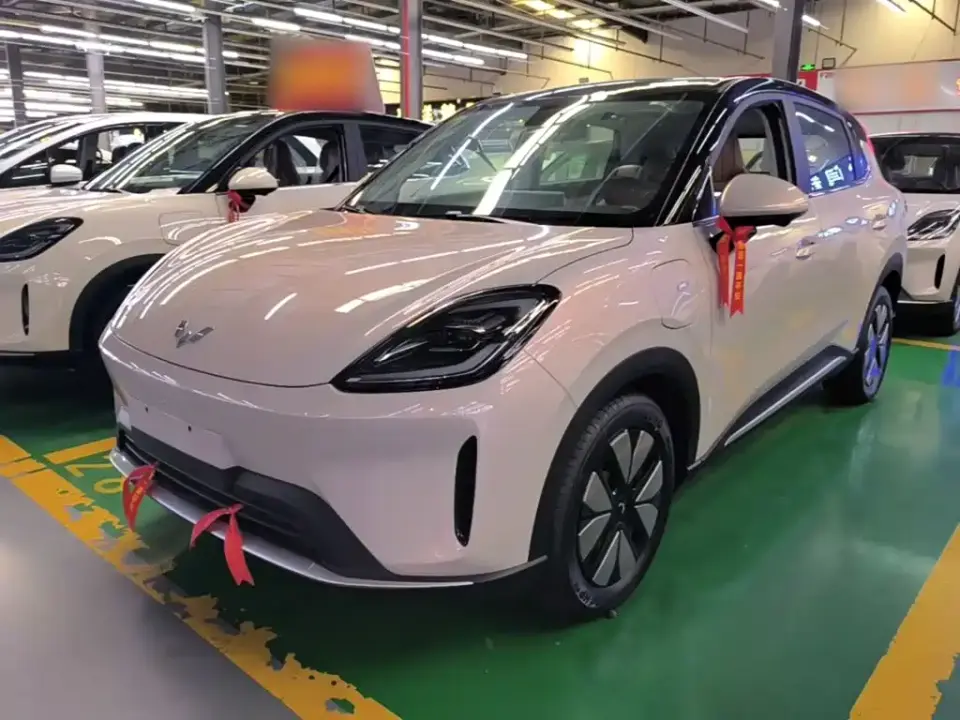 Wuling Motors Wuling Bingo S Model 325km Premium Edition 2026