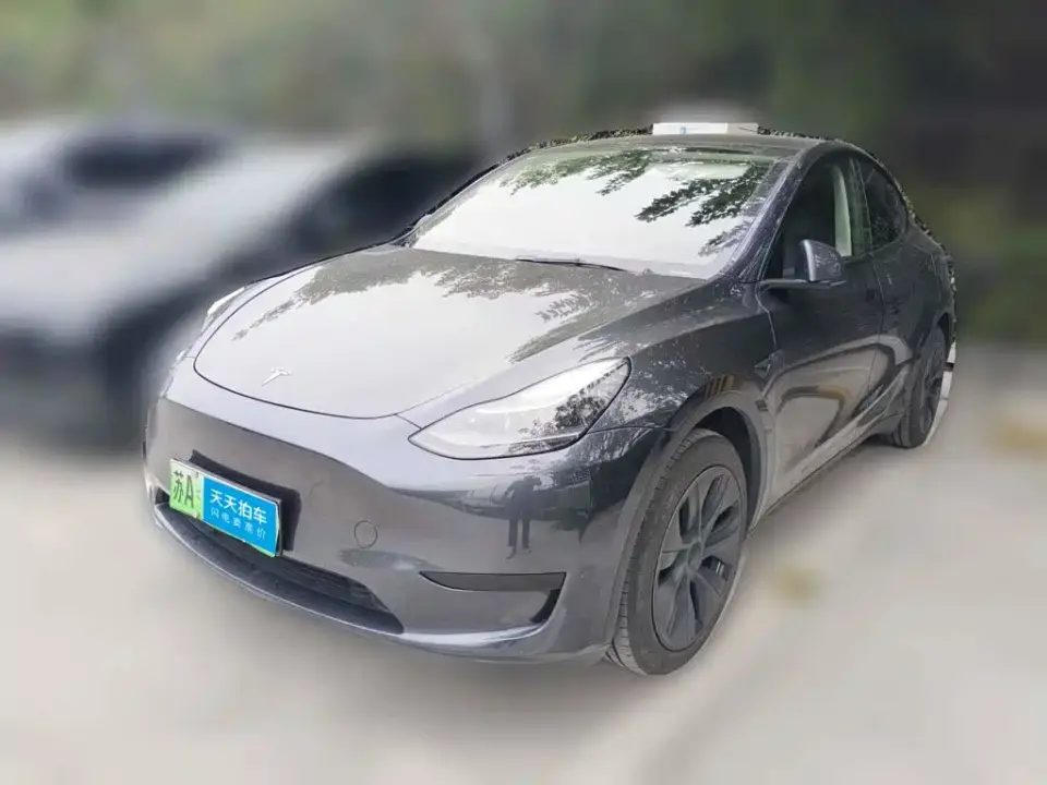 Tesla Model Y Rear-Wheel Drive Version 2024