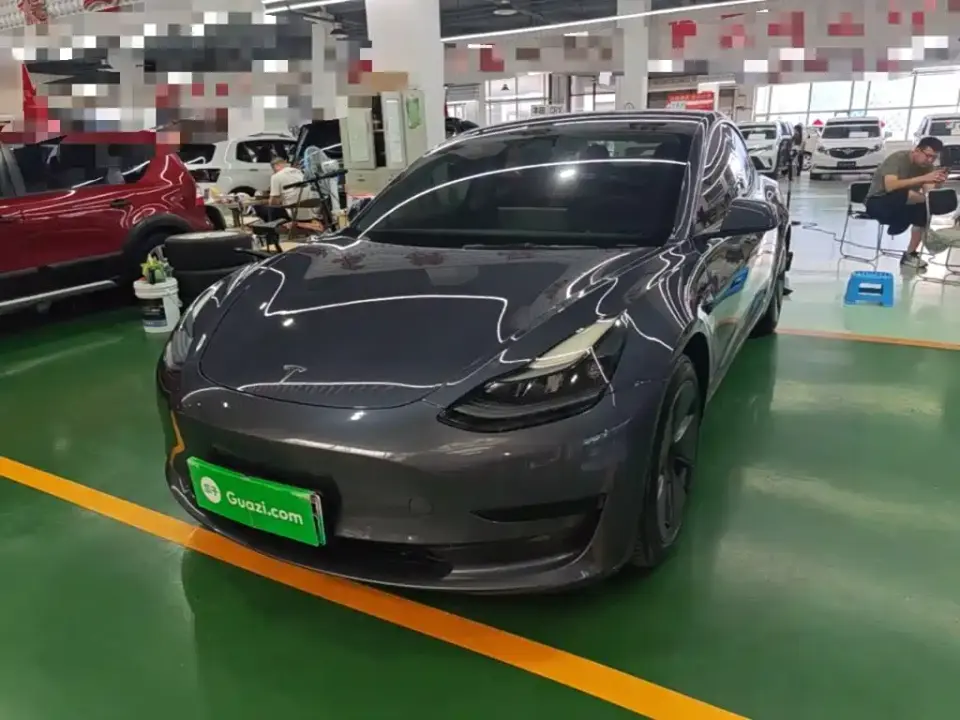 Tesla Model 3 Standard Range Rear-Wheel Drive Upgrade 3D6 2021