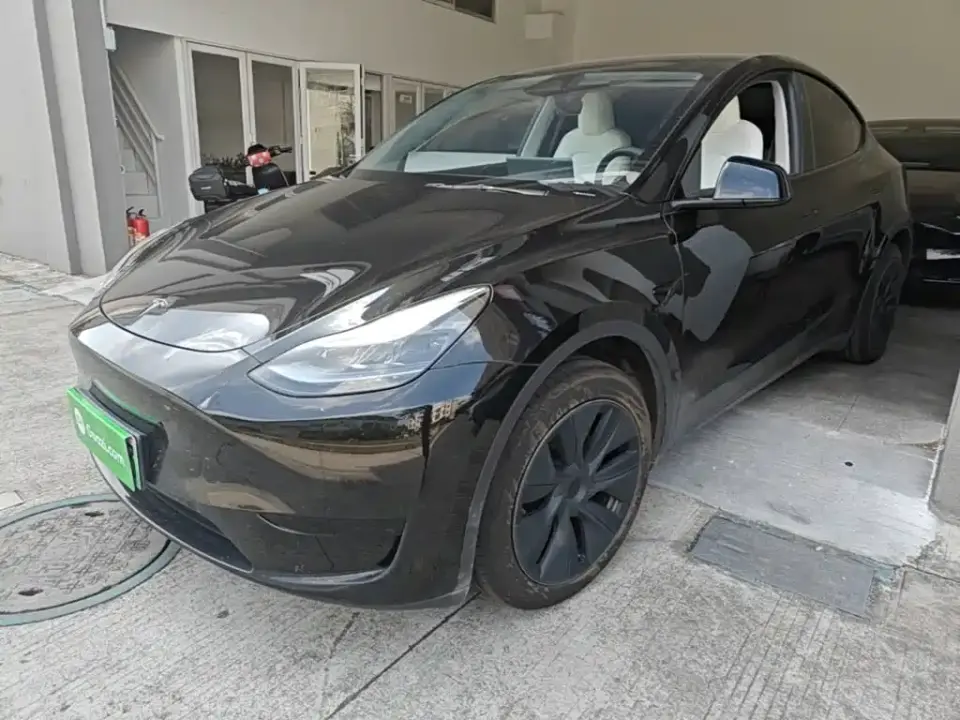 Tesla Model Y Rear-Wheel Drive Version 2024