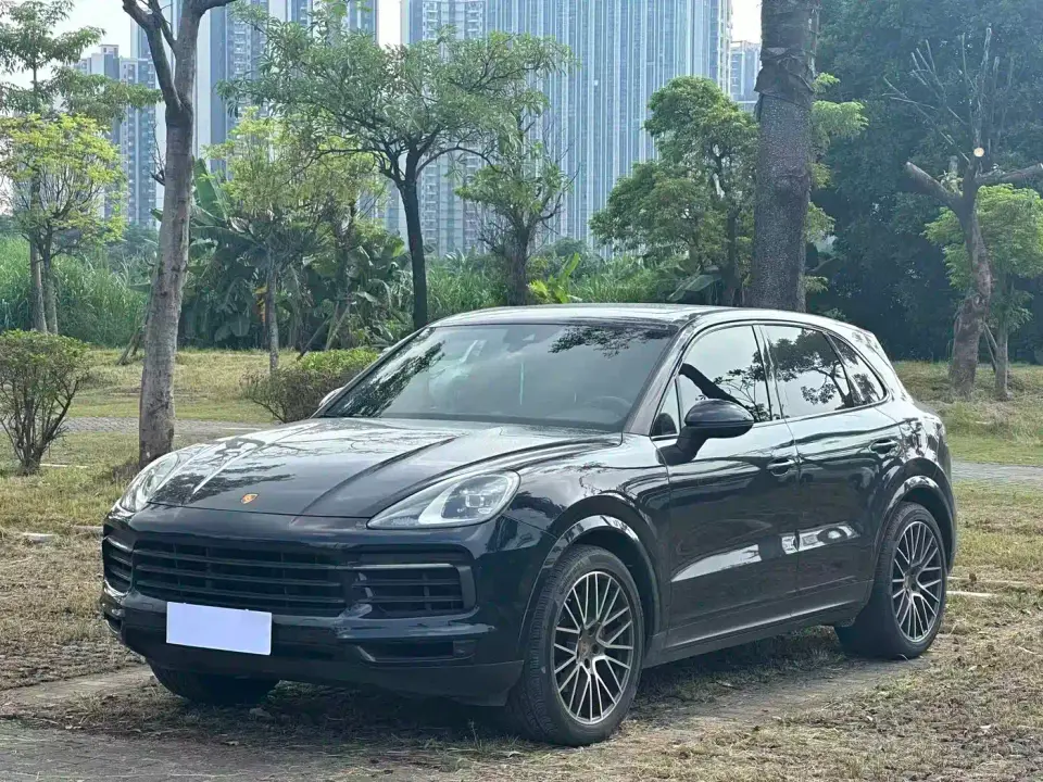 Porsche Cayenne Cayenne 3.0T Platinum Edition 2023