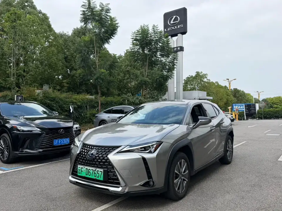 Lexus UX Electric 300e Pure Yue Edition 2022