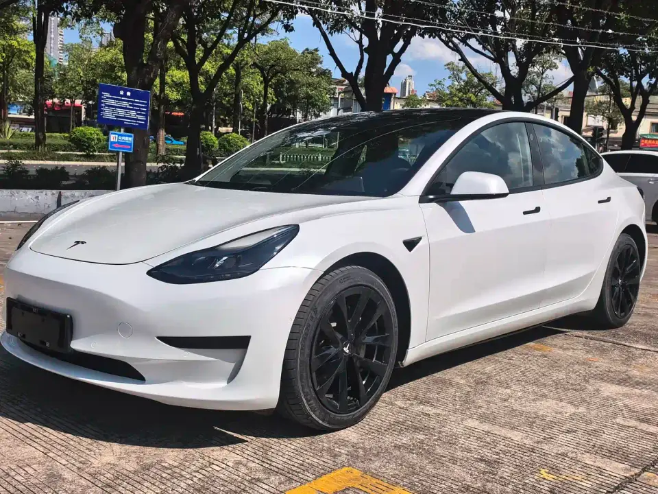 Tesla Model 3 Model Rear-Wheel Drive Version 2022