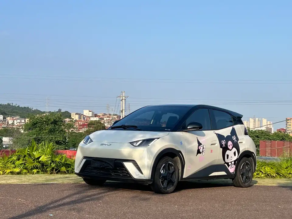 BYD Seagull Glory Edition 405km Soaring Edition 2024