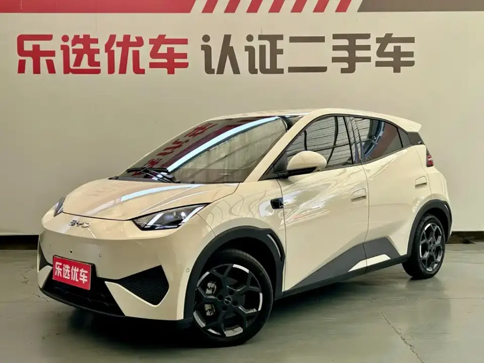 BYD Seagull Smart Drive Edition 305km Freedom Version 2025