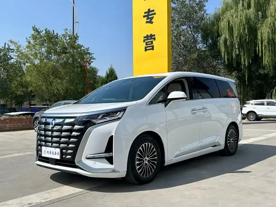 Denza D9 DM-i 1050 Premium 2024