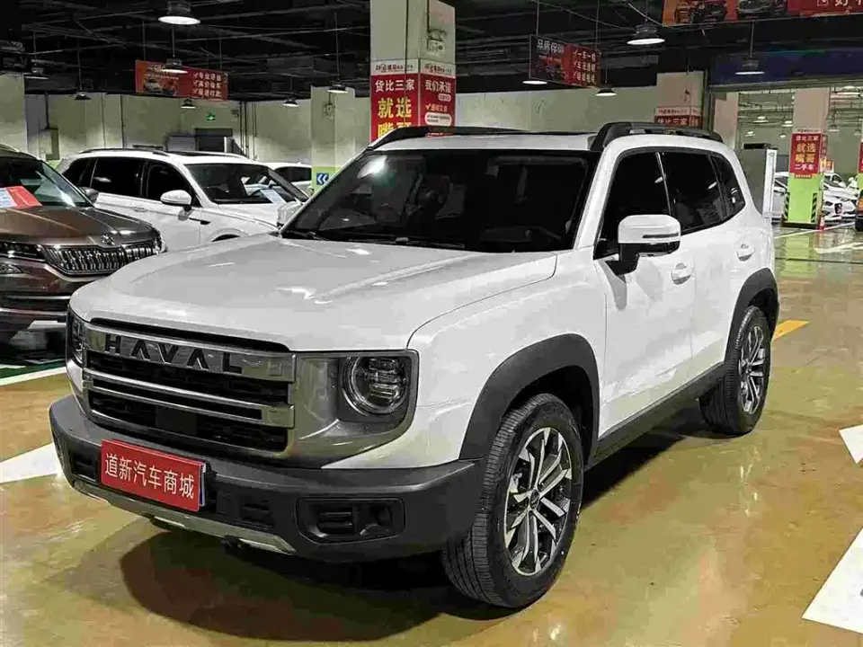 Haval Big Dog Model 1.5T DCT Labrador Edition 2025