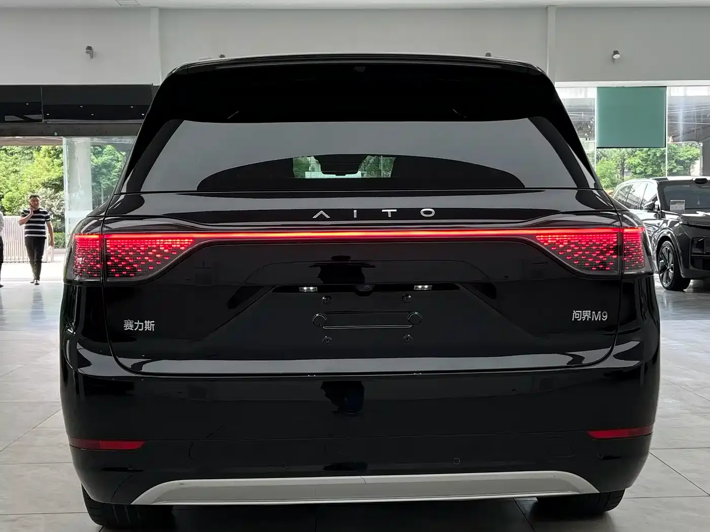 AITO Wenjie AITO M9 Range Extender Max Edition 42kWh 6-seater 2024 — фото 7