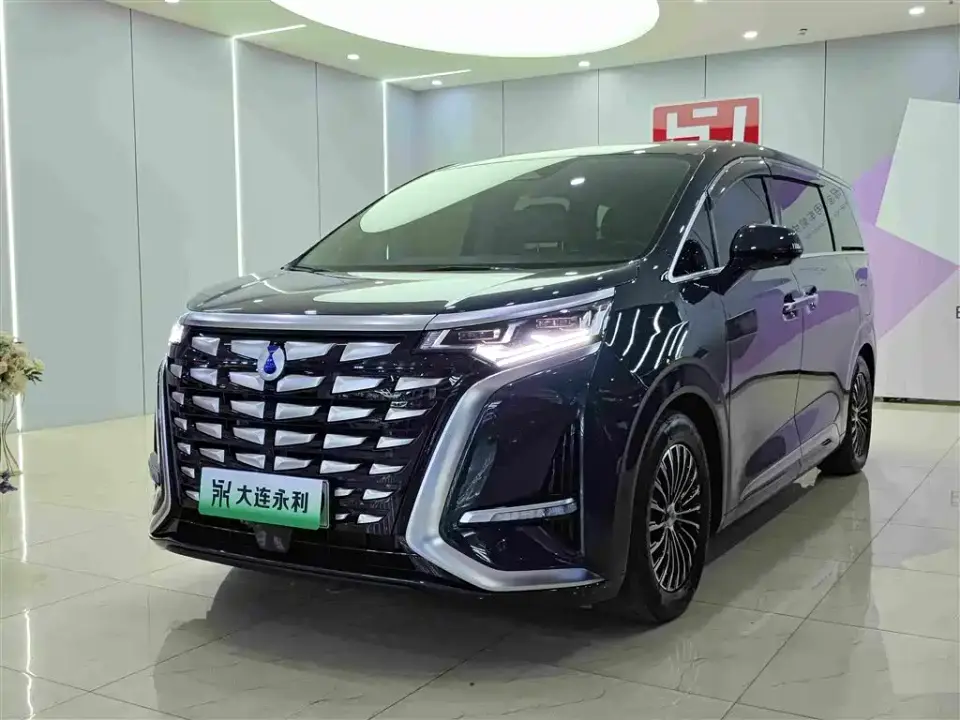 Denza D9 DM-i 1050 Premium 2024