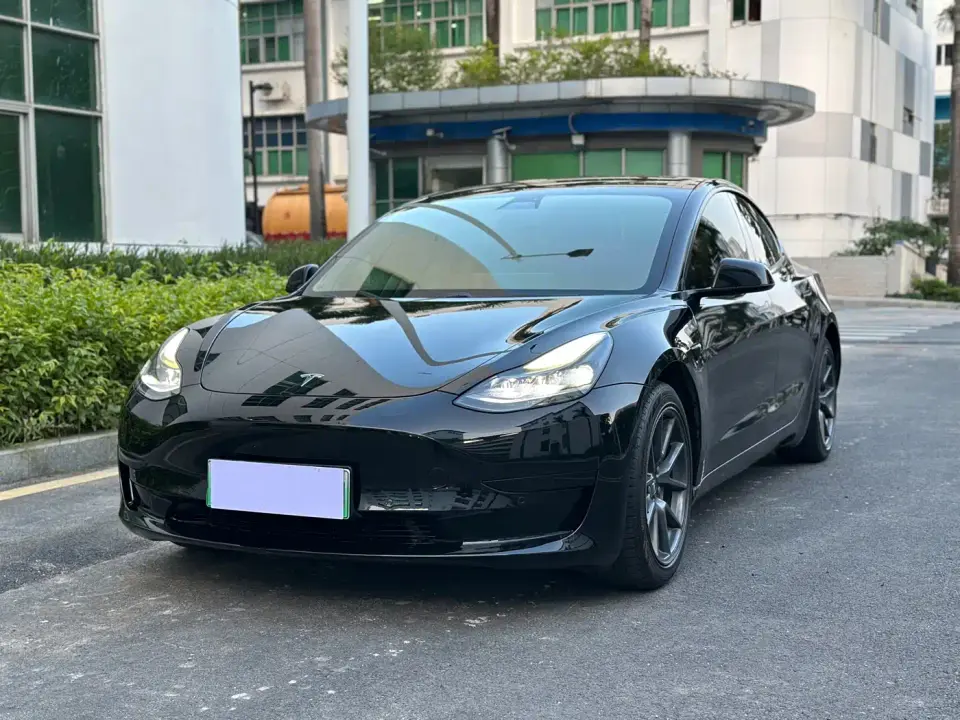 Tesla Model 3 Standard Range Rear-Wheel Drive Upgrade 2021