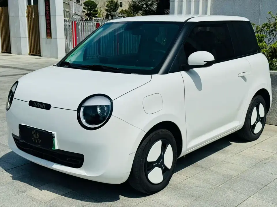 Changan Qiyuan Changan Lumin Model 205km Fragrant Edition 2024