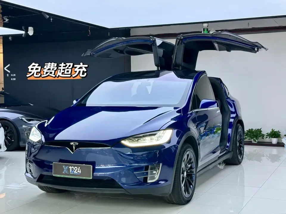 Tesla Model X Long Range Version 2020