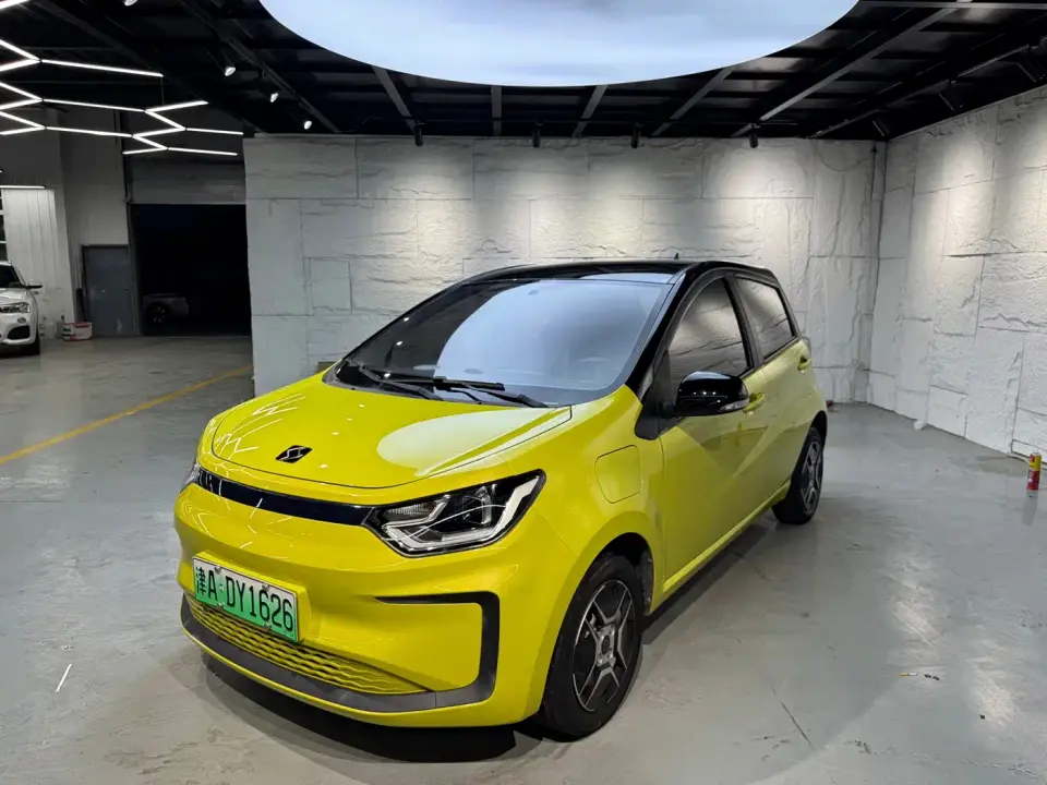 Sehol Flower Fairy 302km Luxury 30.2kWh 2021