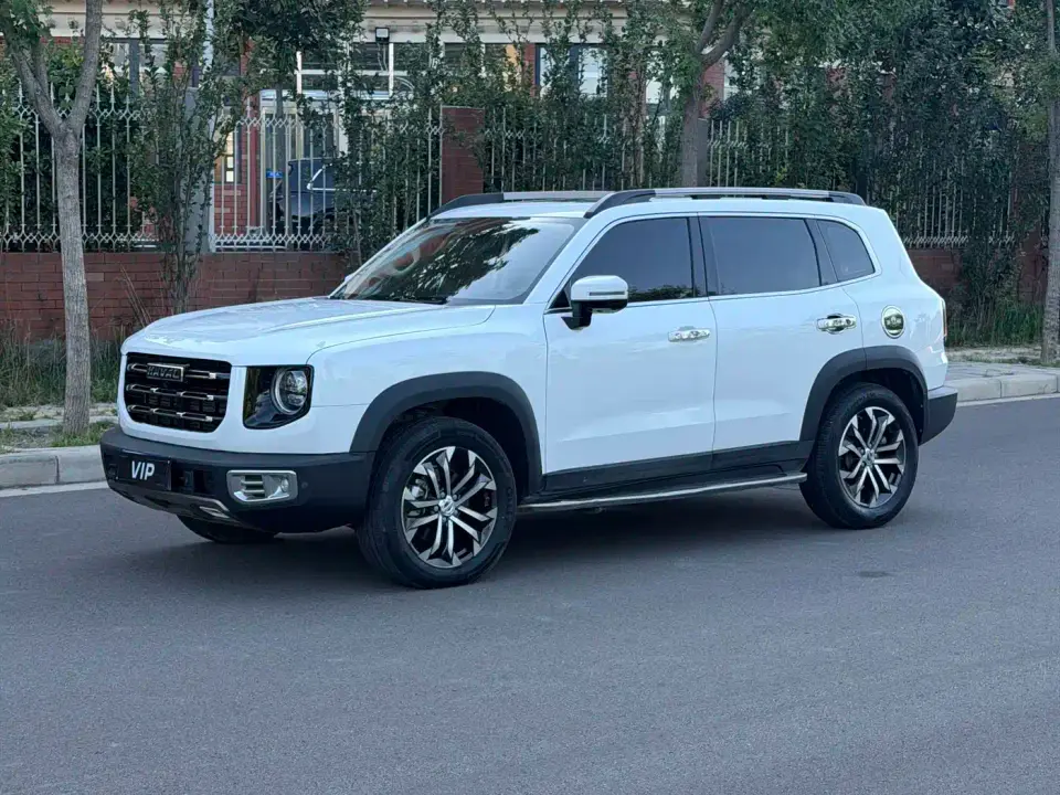 Haval Big Dog 1.5T DCT 2WD Border Collie - Wangcai Edition 2022