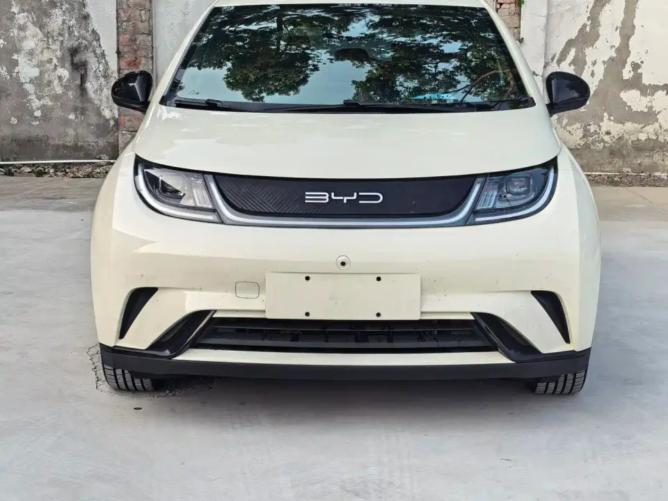 BYD Dolphin 420km Freedom Edition 2023