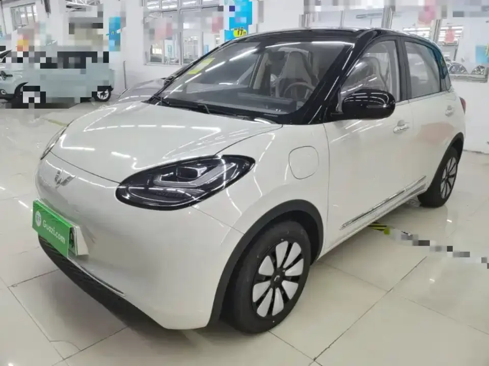 Wuling Motors Wuling Bingo Model 333km Joy Edition 2026
