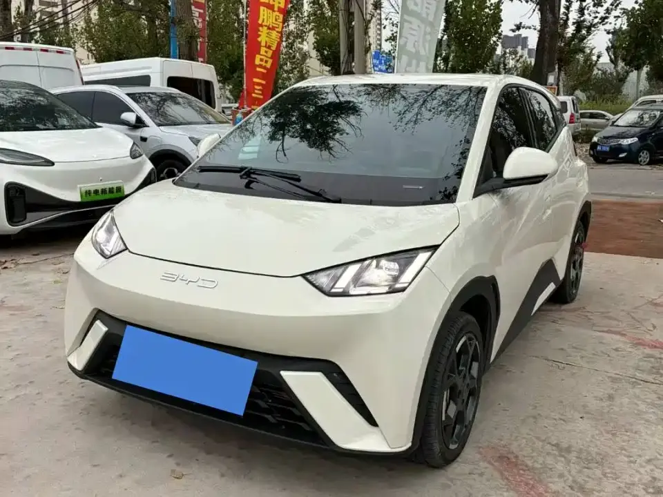 BYD Seagull 405km Soaring 2025