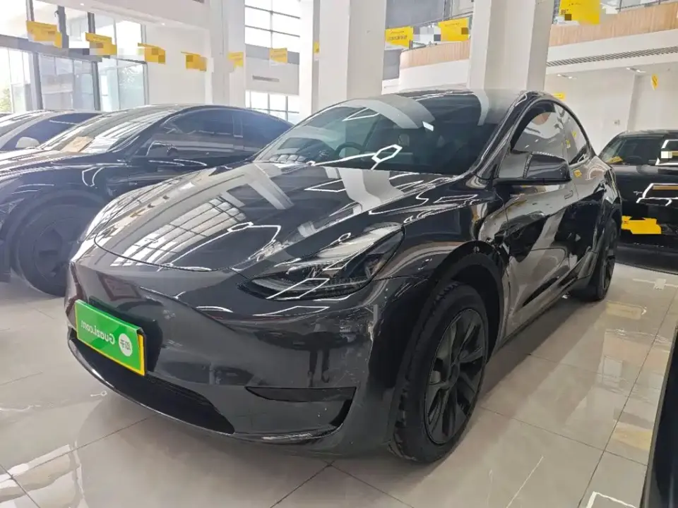 Tesla Model Y Rear-Wheel Drive Version 2024