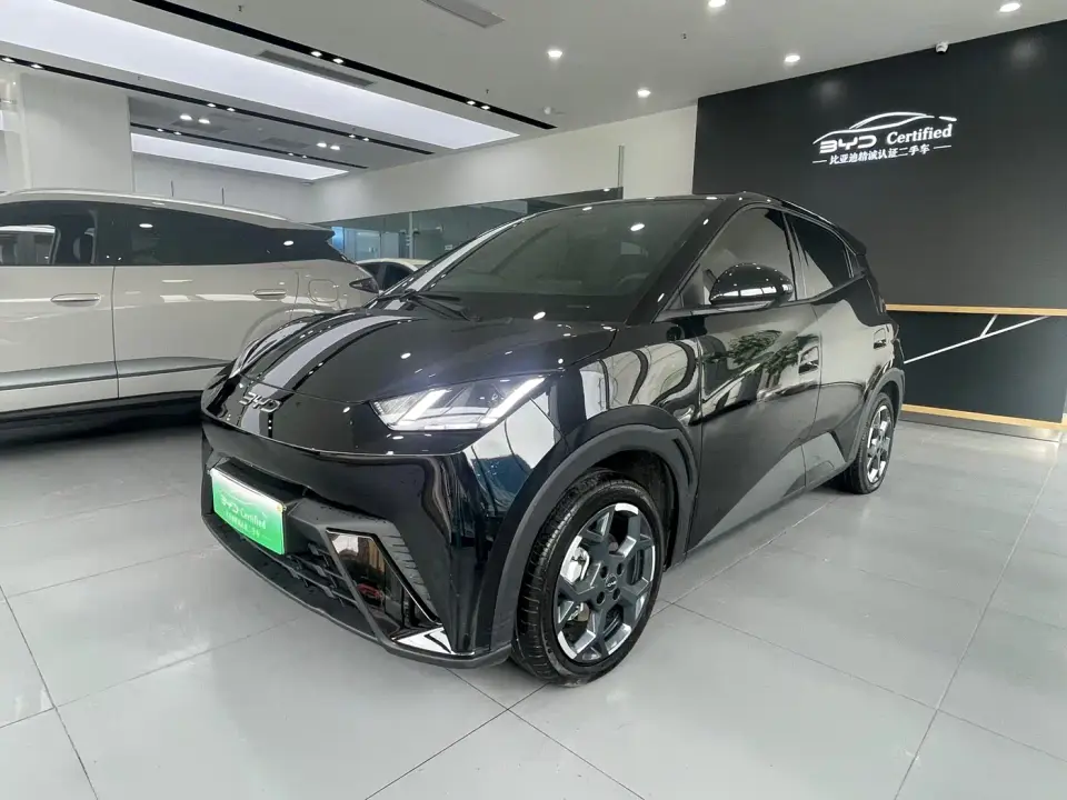 BYD Seagull 305km Freedom 2024