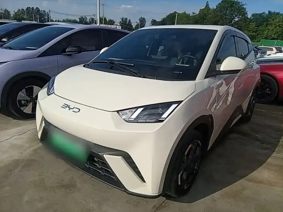 BYD Seagull 305km Freedom 2024