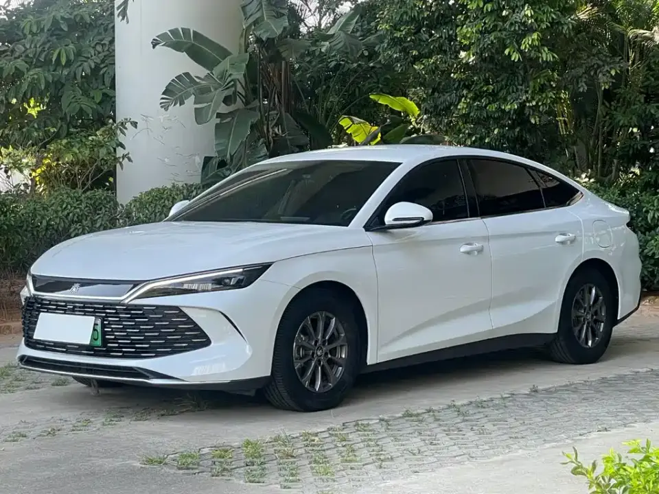 BYD Qin L DM-i 80KM Leading Edition 2024