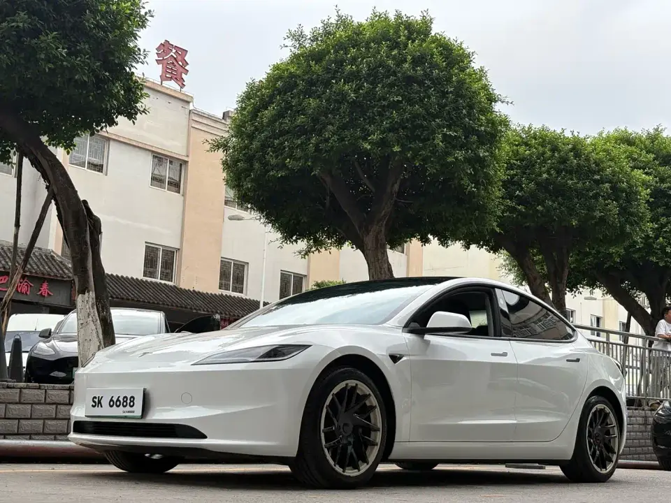 Tesla Model 3 Model Rear-Wheel Drive Edition 2025