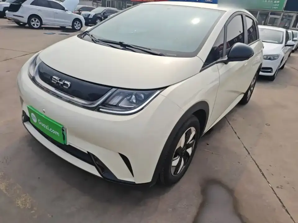 BYD Dolphin 420km Freedom Edition 2025