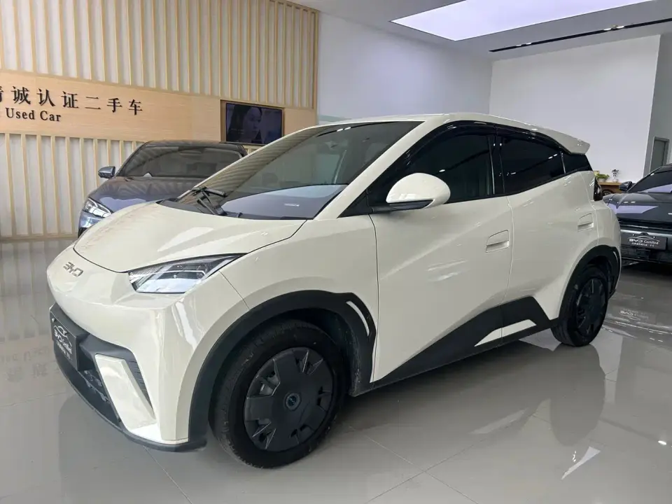 BYD Seagull Glory Edition 305km Vitality Edition 2024