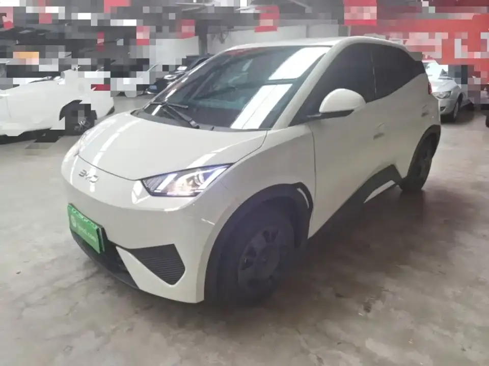 BYD Seagull Smart Drive Edition 305km Vitality Version 2025