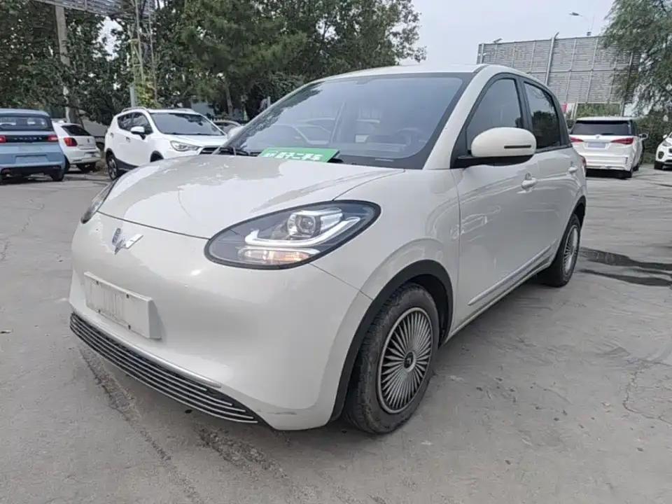 Wuling Motors Wuling Bingo Model 203km Lite Enjoyment Edition 2023