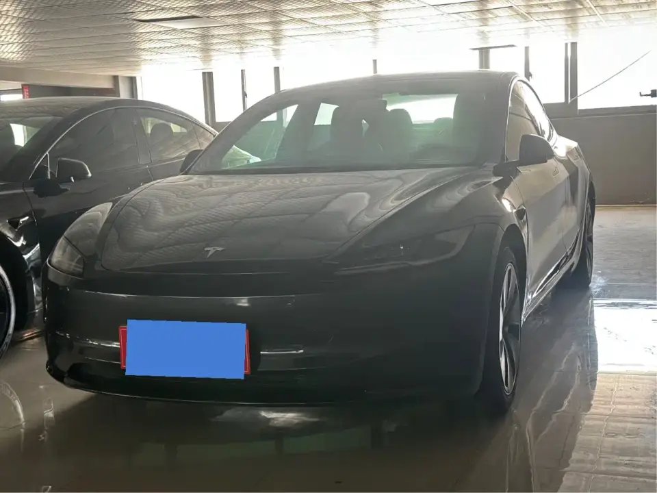 Tesla Model 3 Model Rear-Wheel Drive Edition 2024